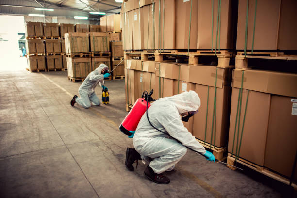 Best Pest Control Near Me  in Shinnston, WV