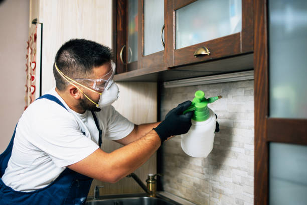 Best Bed Bug Extermination  in Shinnston, WV