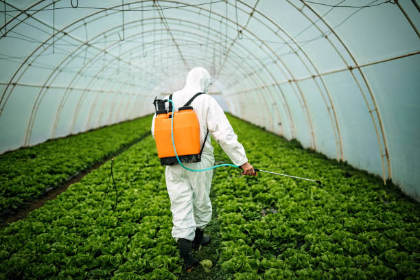Best Pest Prevention Services  in Shinnston, WV