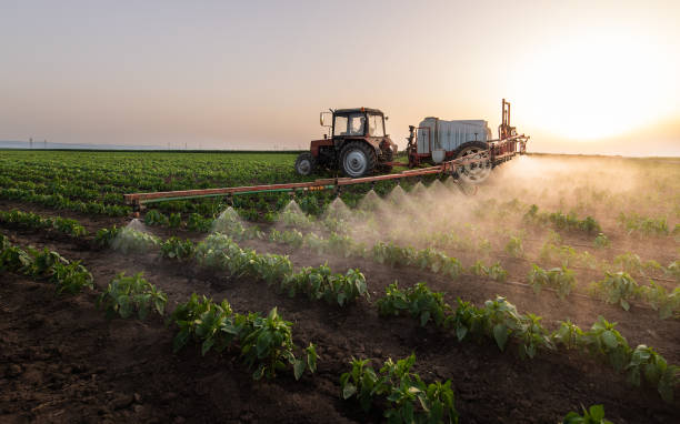 Best Pest Control Treatment  in Shinnston, WV