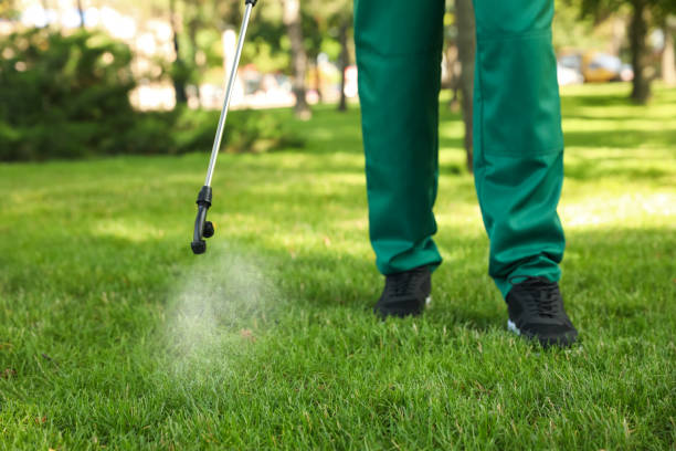 Best Affordable Exterminators  in Shinnston, WV