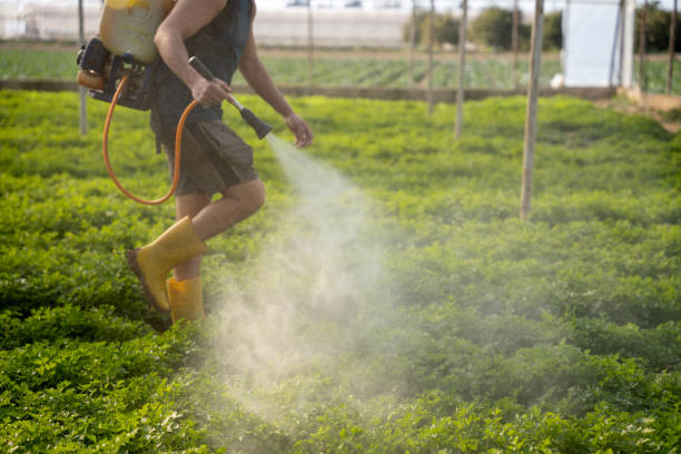 Best Affordable Pest Control Services  in Shinnston, WV