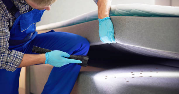 Best Affordable Pest Control Services  in Shinnston, WV