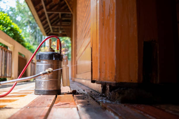 Best Ant Control Services  in Shinnston, WV