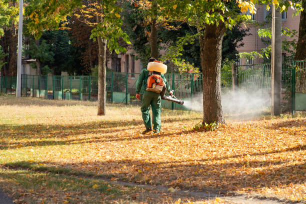 Best Rat Extermination Near Me  in Shinnston, WV