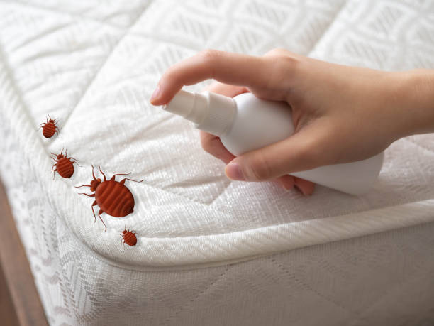Flea Control Services in Shinnston, WV