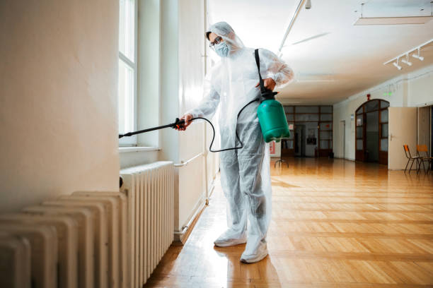 Best Wasp Removal Services  in Shinnston, WV